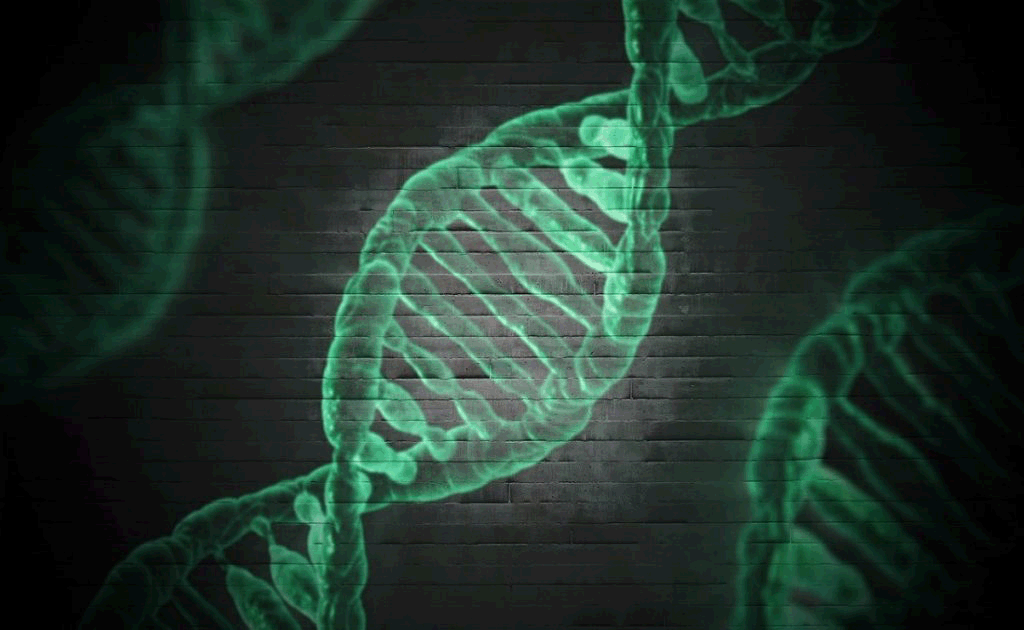 genomica-1024x630